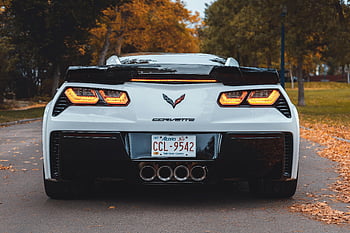 Corvette sports car, back view, luxury car, scenic road, Edmonton, autumn leaves, white Corvette, sports car, fall season, car photography, Alberta license plate