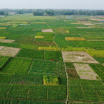 green fields, rural landscape, agricultural fields, patchwork landscape, drone shot, vibrant fields, rural scenery, green countryside, aerial view, farm fields, rural farmland
