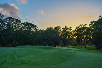 golf course, Savannah GA, sunset, vibrant greens, colorful sky, serene landscape, golf course sunset, Savannah golf course, green grass, trees, golf course scenery