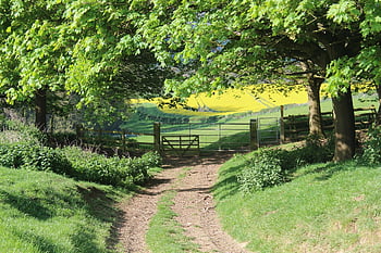 Frühling, Cotswolds, Fußweg, England, bunt, Großbritannien, Tor, Natur, Spur, Gras