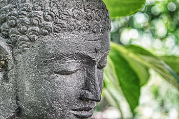 art, mind, buddha, yoga, meditation, relax, lotus, posture, buddha Purnima, spiritual, chakra