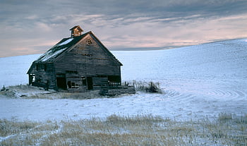 winter, barn, sunrise, house, cabin, snow, cold, pacific Northwest, inland Northwest, eastern Washington, palouse