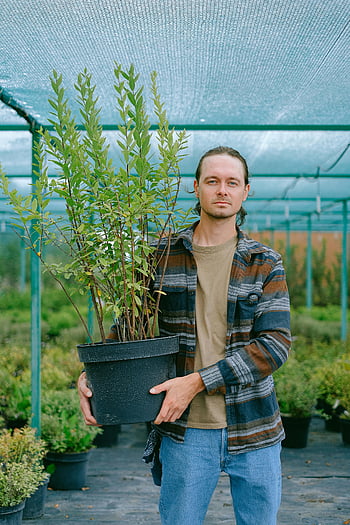 hombre joven, sosteniendo planta en maceta, invernadero, jardinero, invernadero exuberante, pasión por la horticultura, planta en maceta, jardinería de invernadero, Jardinero joven, cuidado de las plantas, entusiasta de la horticultura