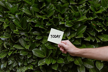 persona in possesso di carta, nota di oggi, sfondo verde lussureggiante, Nota di mantenimento della mano, fogliame verde, messaggio motivazionale, ambientazione esterna, sullo sfondo della natura, promemoria giornaliero, messaggio semplice, sfondo verde