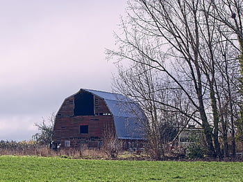 barn, sky, nature, country