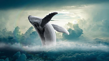 whale, clouds, fantasy, humpback Whale, mammal, marine Animal, nature, jump, sea, ocean, heaven