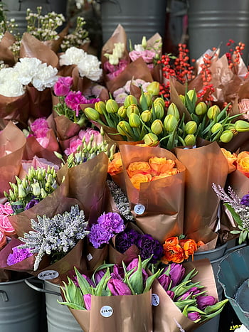 flowers in buckets, vibrant flower bouquets, various colors, arranged beautifully, buckets for sale, florist, flower arrangements, colorful flowers, floral display, flower shop, bouquet sale