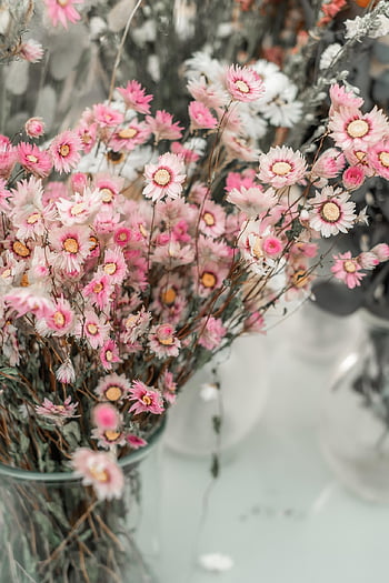everlasting Flowers, flower, bloom, pink, dry Flower, natural Cosmetics, naturopathy, beautiful Flowers, decoration, happy Mothers Day, bunch Of Flowers