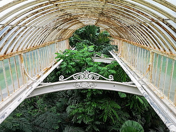 iron, glass, metal, architecture, plant, roof, greenhouse, glasshouse, building, kew, horticultural