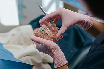 Dental Professional, Tænder Model, seler, tandlægeværktøjer, tæt på, tandproteser, cast model, tandhandsker, tandpleje, ortodonti, Dental praksis