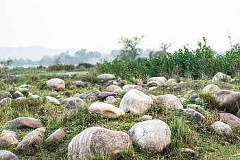 stones, boulders, big, stone, boulder, outdoor, nature, rock, formation, natural, rough