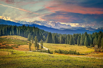 mountains, trees, forest, fields, meadow, prairie, alpine, landscape, nature, mountain Landscape, sky