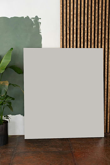 beyaz tahta, zemin, oda, saksı bitkisi, minimalist iç, boş tuval, ahşap panel duvarı, şık tasarım, iç dizayn, modern dekor, yeşil duvar