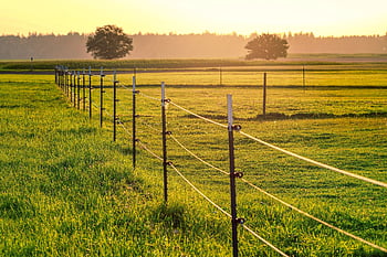 Prado, pasto, Pomar, pasto, rancho, grama, natureza, crepúsculo, panorama, cerca, invólucro, terras agrícolas
