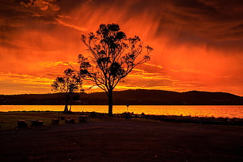 Αυστραλία, tasmania, θάλασσα, σύννεφα, φύση, Αποθεματικό, dru point, ανατολή, παραλιακός