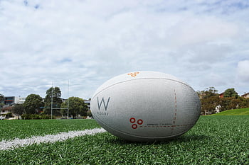 balón de rugby blanco, hierba, campo de deportes, Disparo detallado, equipo deportivo, rugby, campo verde, Deportes al aire libre, tema deportivo, pelota sobre césped, pelota deportiva