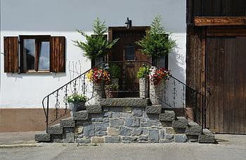 hnědé dřevěné dveře, cihlové schody, kamenné schody, živé květy, rustikální vchod, dřevěné akcenty, Malebný vchod, Venkovní schodiště, vchod do domu, dekorativní rostliny, kované zábradlí