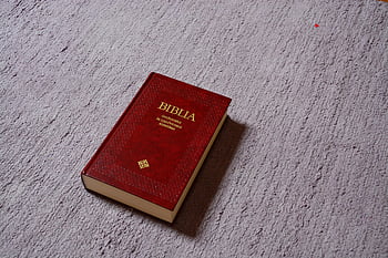 빨간 biblia, 빨간 성경, 질감 카펫, 잘 조명, 자세한 사진, 종교 서적, 성서, 영적인 텍스트, 책 표지, 종교 문학