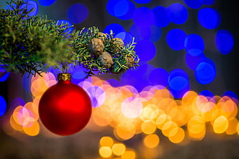 świąteczna ozdoba, czerwona cacko, gałąź drzewa, kolorowe bokeh, świąteczne lampki, świąteczna dekoracja, drzewko świąteczne, żywe czerwone, tło bokeh, sezon wakacyjny, świąteczny wystrój