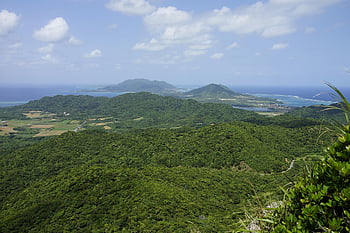trees, forest, vegetation, mountain Peak, tropical, sky, okinawa, ishigaki Island, japan, okinawa Prefecture, southern Island