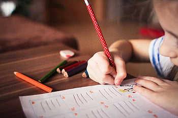 avvicinamento, Ragazza che scrive, bambino, compiti a casa, Matite colorate, Apprendimento focalizzato, formazione scolastica, scrivania, studia, concentrazione, matite