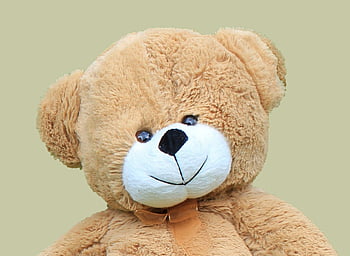 teddy, medvěd, roztomilý, měkká hračka, načechraný, Medvídek, usměj se, plněné, zvíře, dětství, mazlivý