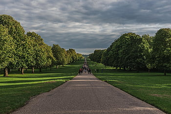 windsor Castle, windsor, castle, long Walk, walk, long, walkway, path, pathway, footpath, park