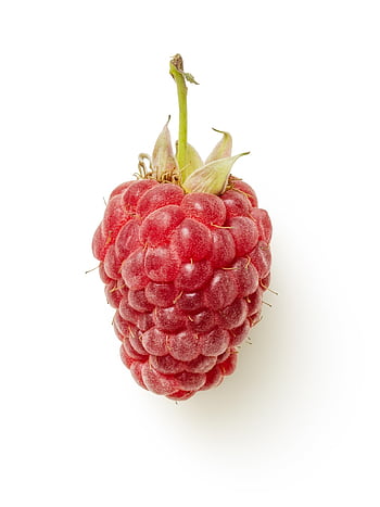 malina, ovoce, jídlo, bobule, červená bobule, organický, přírodní, zdravý, detailní, vitamín, vitamíny