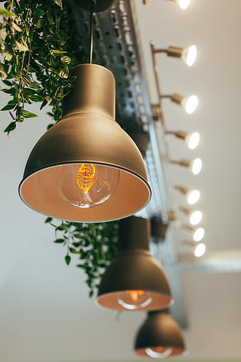 Visí zlaté lampy, Stylové vnitřní osvětlení, Současné závěsné lampy, svěží zeleň, Moderní nastavení osvětlení, vnitřní dekor, závěsná světla, Vzhled interiéru, teplé osvětlení, dekorativní lampy, pokojové rostliny