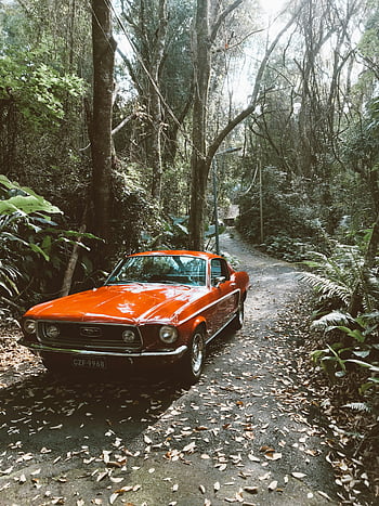 červený ford mustang, Historické auto, lesní cesta, svěží zeleň, červené auto, klasické auto, venkovní scénu, přírodní pozadí, fotografování automobilů, pohled, vinobraní automobil