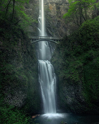 cascate, ponte, Oregon, appassionati di natura, cascata a cascata, vista incredibile, foresta, all'aperto, panoramico, bellezza naturale, paesaggio