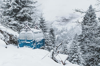 frosty cable car, snowy forest, winter scene, serene landscape, snow-covered trees, winter forest, cable car in snow, snowy landscape, winter cable car, snowy trees, winter forest scene