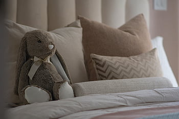 Camera da letto, letto, pupazzo di pezza, peluche, cuscini, camera, Casa, animale impagliato, animale giocattolo, avvicinamento
