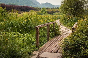 china, meadow, guizhou, path, scenery, wooden Bridge, bridge
