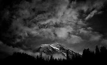 Mount Rainier, gråtonebilleder, sort og hvid, bjerg, træer, dramatiske skyer, natur, landskab, udendørs, fotografering, kunst