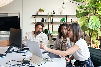 office meeting, diverse group, professionals collaborating, modern office, working on laptops, around a table, team discussion, workplace collaboration, business meeting, office environment, professional setting