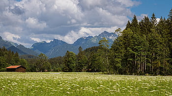 landscape, mountains, clouds, heaven, forest, trees, country Road, meadow, alps, nature, scenic