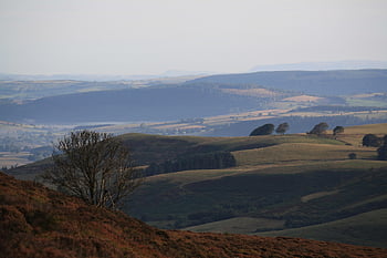λόφους, εξοχή, shropshire, αγροτικός, Αγγλία, φύση, τοπίο, θέα