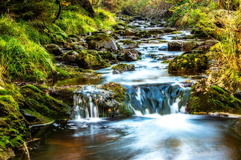waterfall, mossy rocks, lush forest, body of water, grasses, peaceful scene, natural setting, flowing water, serene environment, greenery, moss-covered stones