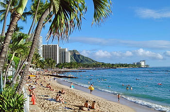 waikiki beach, oahu hawaii, tropické slunce, lidé si užívají, pobřeží, stromy, palmy, živá scéna, diamantová hlava, Plážové aktivity, pohled na oceán