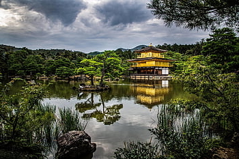 shrine, temple, lake, crane, japan, kyoto, serene, gold, nature, bird