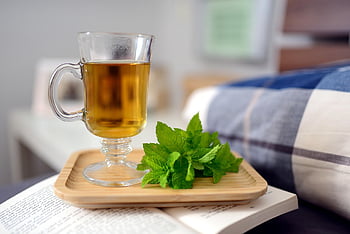 máta peprná čaj, Příroda, máta peprná, máta, čaj, čajové sklo, zdraví, klid na lůžku, lůžko, zotavení, byliny