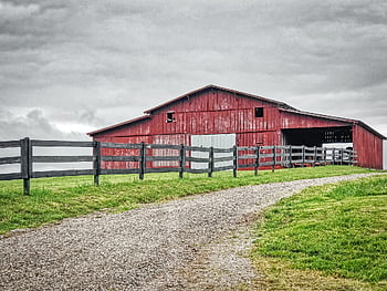 rural, country, trees, sky, landscape, countryside, farm, outdoors, field, scenic, agriculture