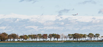 plane, landing, sky, airliner, air, aircraft, flight, jet, arrival, business, fly