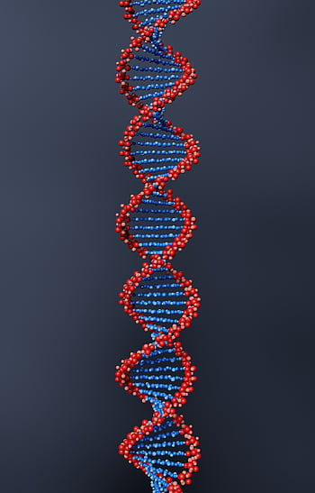 gen, dna, studie, Věda, biologie, výzkum, biotechnologie, atom, buňka, molekula, medicína