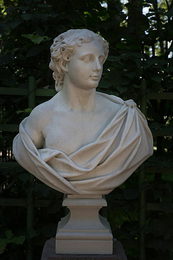 marble bust, Greek figure, summer garden, green garden, outdoor sculpture, classical art, stone statue, outdoor display, elegant display, garden decor, marble sculpture