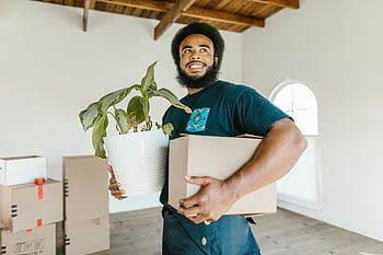 om, tricou de gât albastru, deținere, cutie de mișcare, planta in ghiveci, casă nouă și luminoasă, zâmbitor, de interior, ziua mutarii, decoratiune interioara, casa noua