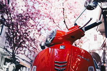 สกูตเตอร์ Red Vespa, การถ่ายภาพโฟกัสแบบเลือก, ต้นไม้เบ่งบาน, การตั้งค่าเมือง, ใกล้ชิด, สกูตเตอร์มอเตอร์สีแดง, เวสป้า, ฤดูใบไม้ผลิ, ฉากในเมือง, สกู๊ตเตอร์วินเทจ, ดอกซากุระ