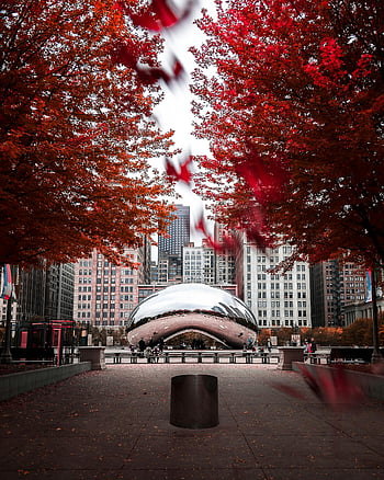 Chicago skyline, Cloud Gate, Millennium Park, fall foliage, city landmark, popular sight, vibrant colors, urban landscape, reflective sculpture, autumn leaves, downtown Chicago