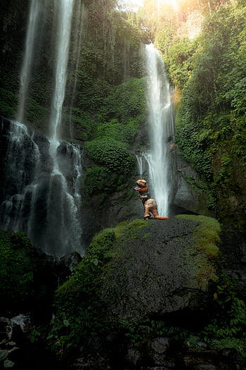 dinosaur costume, tropical waterfall, lush tropical, Bali Indonesia, person posing, rock near waterfalls, playful pose, natural scenery, outdoor adventure, waterfall backdrop, tropical setting